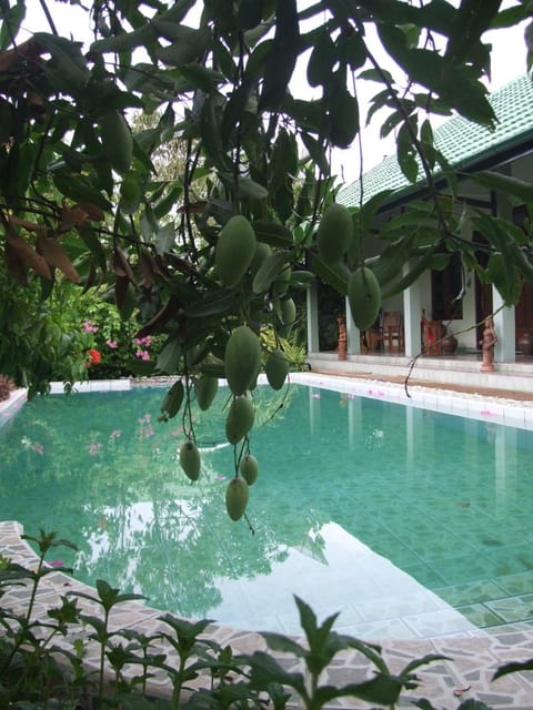 Pool view