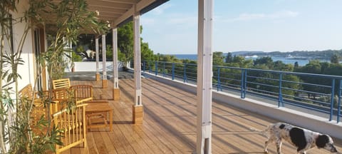 Natural landscape, View (from property/room), Balcony/Terrace, Sea view, Sea view