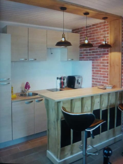 Kitchen or kitchenette, Dining area, minibar, pet friendly, stove