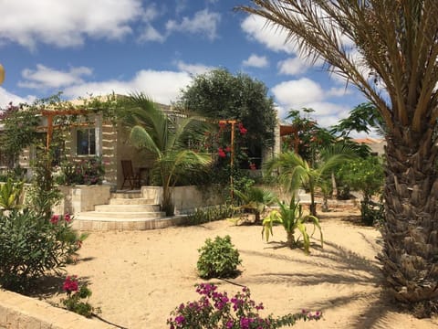 Property building, Garden