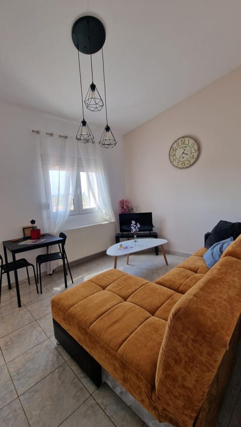 Kofinaki apartment 2 - Tychero Evros Apartment in Evros, Greece