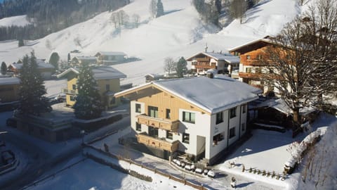 Haus Sandra Apartment in Salzburgerland