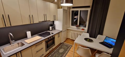Kitchen or kitchenette, Dining area, oven, stove