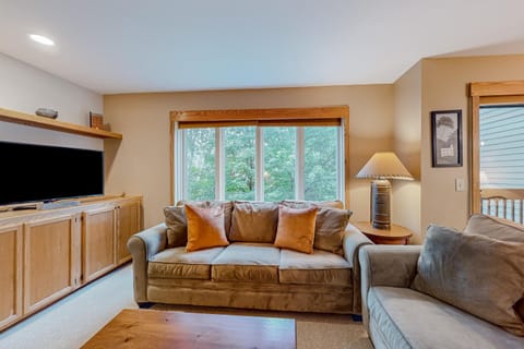 Snow Creek 4 Apartment in Warren