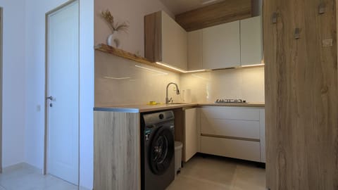 Kitchen or kitchenette, washing machine
