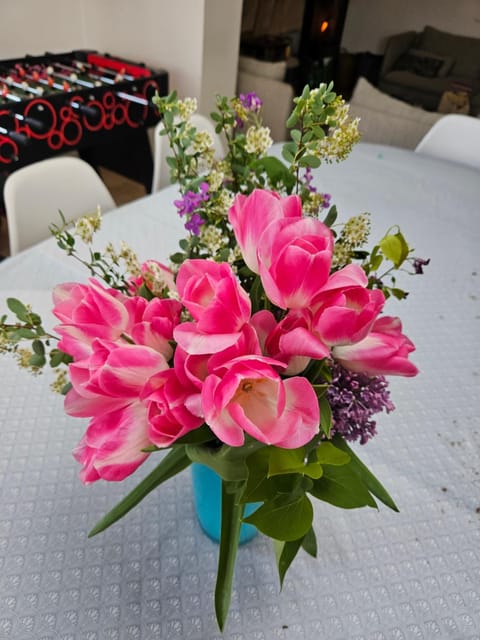 Deux maisons reunis par le jardin et sa cabine de plage, à 8min à pieds des plages et de l'océan Cabin in Batz-sur-Mer