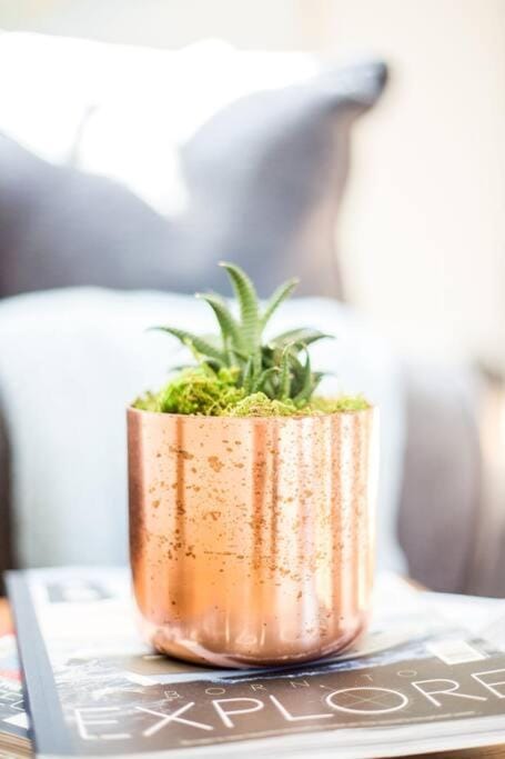 Open and Comfy home near Downtown-Folly Beach House in James Island