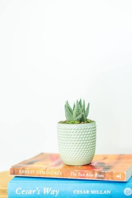 Open and Comfy home near Downtown-Folly Beach House in James Island