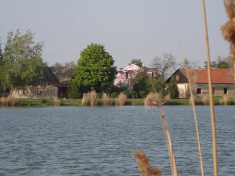 Vila Madams - Palić-Serbia Bed and Breakfast in Vojvodina