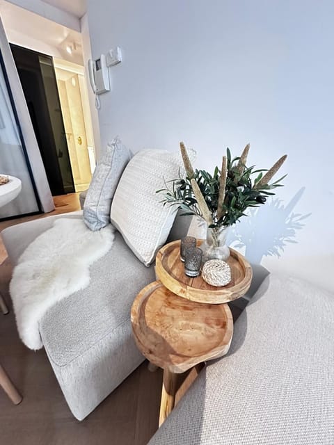 Klein geluk te Nieuwpoort. Apartment in Koksijde