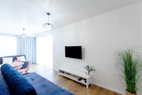 Bed, TV and multimedia