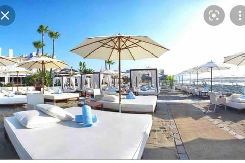 Beach, sunbed