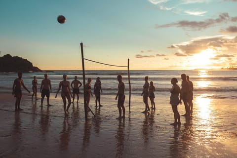 Beach, Sports, group of guests