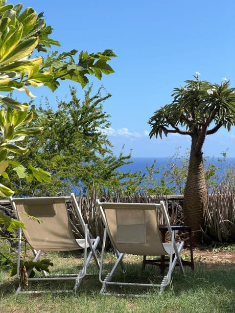 Garden, Sea view