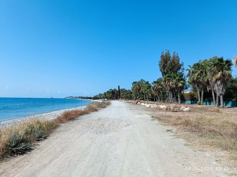 Natural landscape, Beach, Sea view