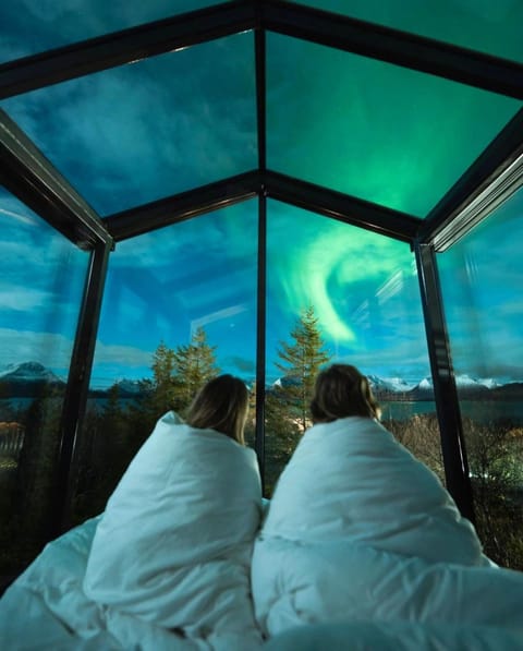 Night, Natural landscape