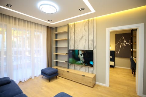 TV and multimedia