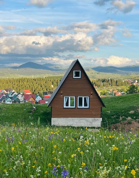 Red Rock House in Montenegro