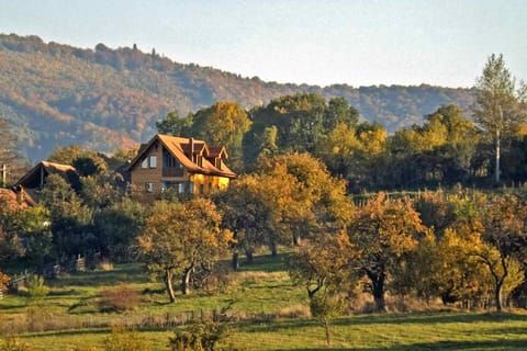 Property building, Bird's eye view, Mountain view