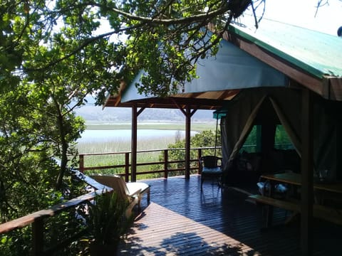 Bushbuck Camp Luxury tent in Eastern Cape
