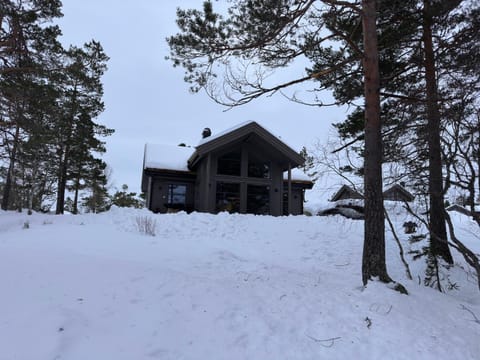 Property building, Day, Winter