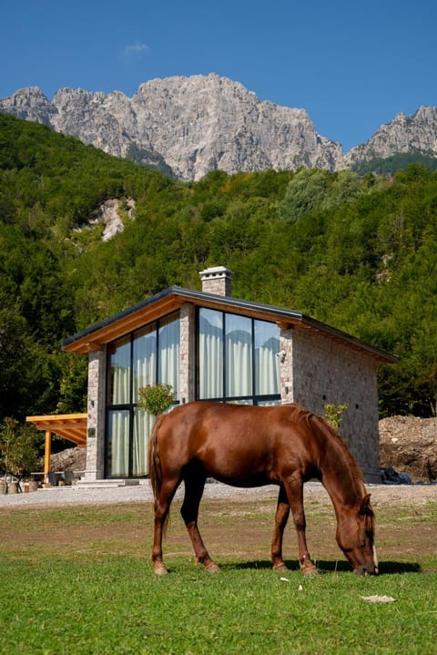 Villa Ujëvara e vogël Villa in Montenegro