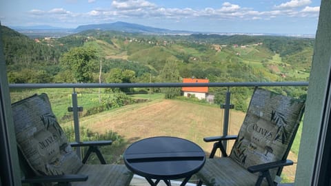 Natural landscape, Balcony/Terrace, Mountain view