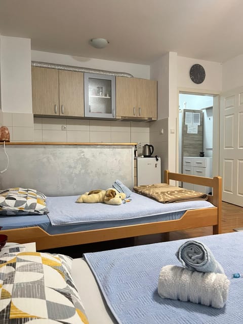 Apartman B&S Apatin Apartment in Vojvodina