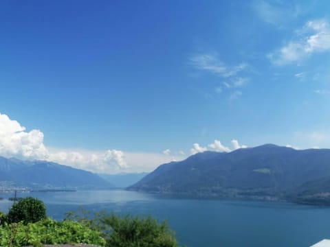Lake view