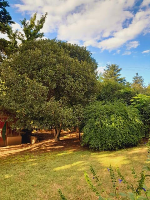 Garden, Garden view