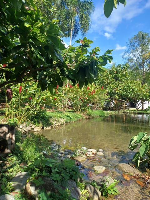 Natural landscape