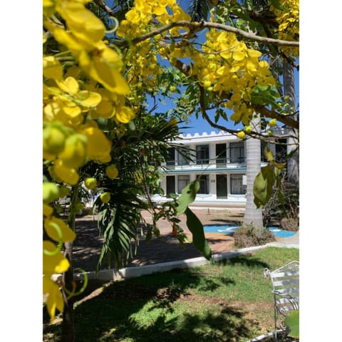 Garden, Garden view