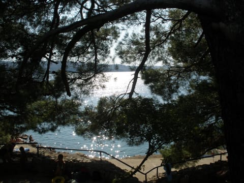 Natural landscape, Snorkeling, Beach