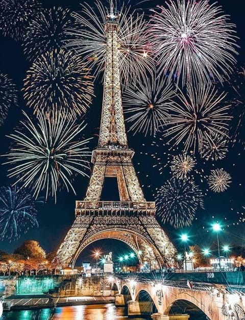 Le Petit Paradis Parisien Apartment in Île-de-France