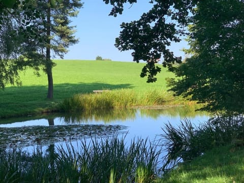 Natural landscape, River view