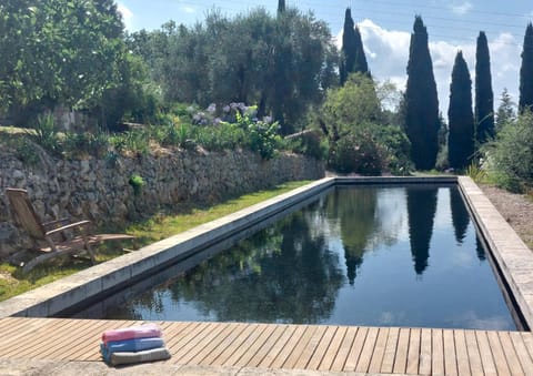 Natural landscape, Garden, Swimming pool, Swimming pool