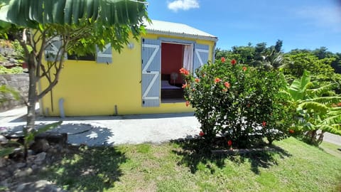 Property building, Day, Garden, Garden view