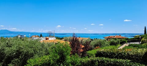 Lake view
