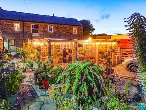 Property building, Evening entertainment, Garden view