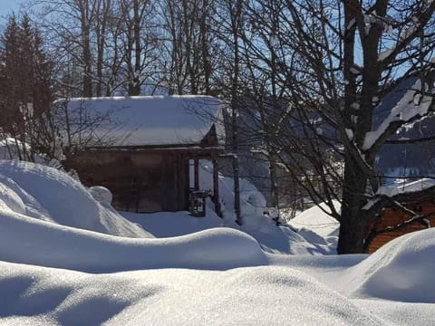 Natural landscape, Winter