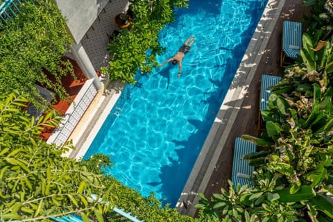 Spring, Day, Garden, Garden view, Pool view, Swimming pool, Swimming pool, sunbed
