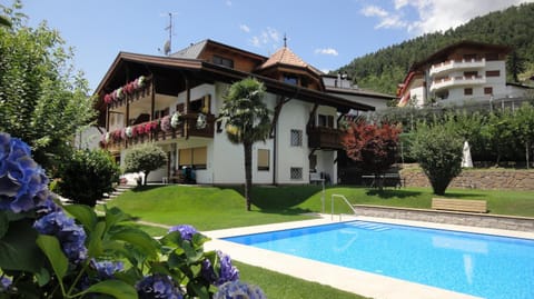 Property building, Garden, Swimming pool, Swimming pool
