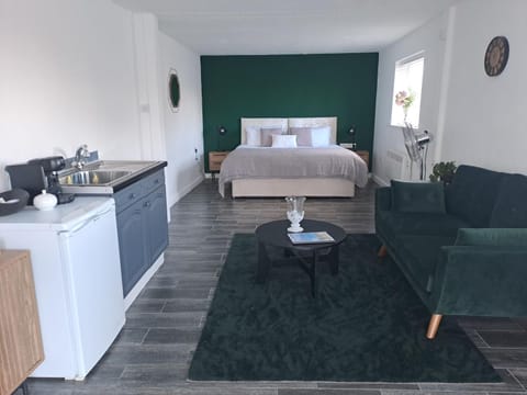 Bed, Kitchen or kitchenette, Living room, Bedroom