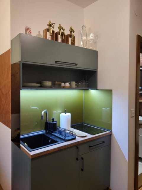 Guest House Vila Lujza Bed and Breakfast in Vojvodina