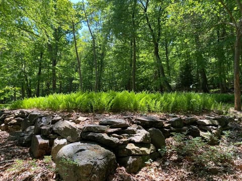 Natural landscape, Garden view