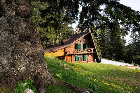 Natural landscape