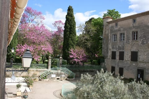Spring, Natural landscape, Garden, On site