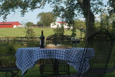 Natural landscape, Garden view
