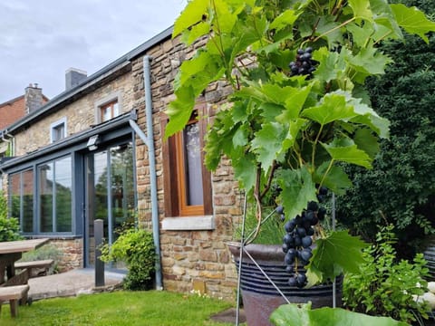 Li Pitite Magrite House in Manhay