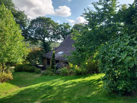 Natural landscape, Garden view